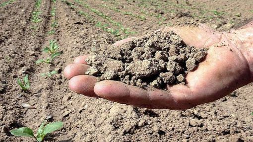 Un anno di siccità: pianura lombarda a secco, laghi al 27%, più colpite Milano e provincia di Pavia