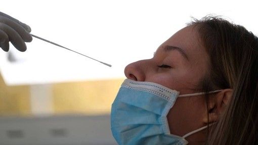 Coronavirus, in provincia di Pavia 13 nuovi contagi. In Lombardia 297 casi e 2 vittime Coronavirus, in provincia di Pavia 13 nuovi contagi. In Lombardia 297 casi e 2 vittime