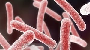 Testata su interventi cardiochirurgici complessi una tecnologia innovativa che elimina il rischio di infezione da mycobacterium chimaera
