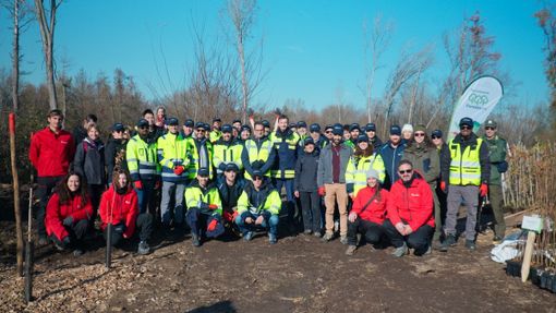Microsoft Italia e Rete Clima insieme per il Parco del Ticino: l’Isola dell’Ochetta rinasce dopo gli schianti del 2023