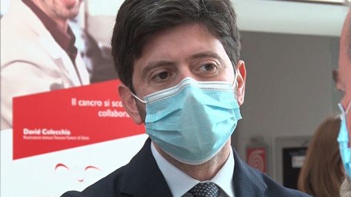 Covid, Speranza presenterà il piano vaccini il 2 Dicembre Covid, Speranza presenterà il piano vaccini il 2 Dicembre