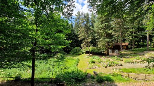 Riapre il giardino botanico di Pietra Corva