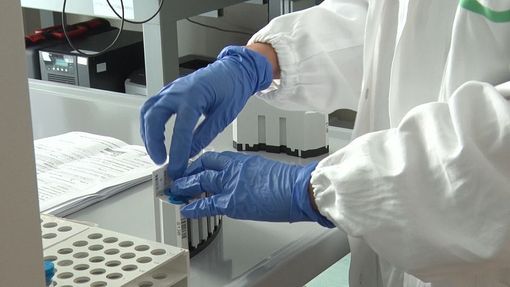 Pronto in estate il vaccino italiano, basterà una dose Pronto in estate il vaccino italiano, basterà una dose