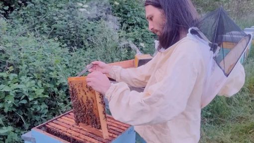 Palestro, apiario spazzato via dalla piena del Sesia. Apicoltore lancia raccolta fondi per ripartire