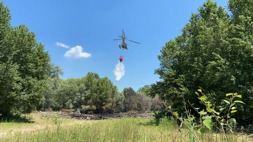 Mezzana Bigli: incendio brucia due ettari di fogliame e tronchi, salvato un gregge di pecore Mezzana Bigli: incendio brucia due ettari di fogliame e tronchi, salvato un gregge di pecore