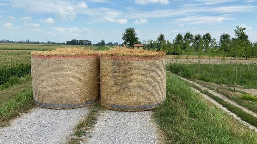 foto Alex Morandi foto Alex Morandi