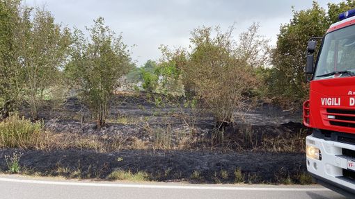 Pieve del Cairo: incendio di sterpaglie in cascina, Vigili del fuoco in azione Pieve del Cairo: incendio di sterpaglie in cascina, Vigili del fuoco in azione