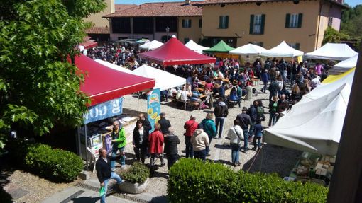Domenica 18 Febbraio, fuga dalla città e la primavera dietro l’angolo…   Morimondo val bene una gita fuori porta: tesori a portata di mano ed eccellenze enogastronomiche