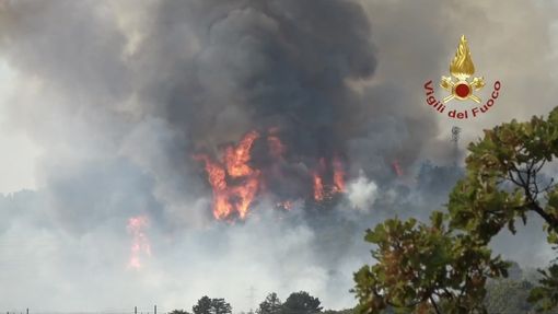 Vigili del fuoco in azione senza sosta: sul Carso roghi non ancora sotto controllo Vigili del fuoco in azione senza sosta: sul Carso roghi non ancora sotto controllo