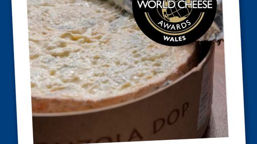 Arriva da Cameri il secondo formaggio più buono del mondo: è il Gorgonzola dolce della Latteria Sociale