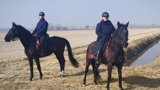Pavese: arrestati due pusher marocchini nelle campagne di Torrevecchia Pia