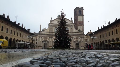 - (FOTOGALLERY) - Vigevano, nel pomeriggio l’installazione dell'albero di Natale in Piazza Ducale - (FOTOGALLERY) - Vigevano, nel pomeriggio l’installazione dell'albero di Natale in Piazza Ducale