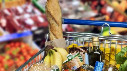 Coronavirus: Coldiretti, ok decreto su indigenti ma salvare fiori, pesca e vino Prandini, non discriminare aziende sulla base del fatturato