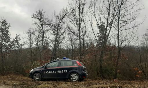 Oltrepò: esegue lavori in un bosco senza rispettare le tecniche forestali, scatta una maxi multa da 120mila euro