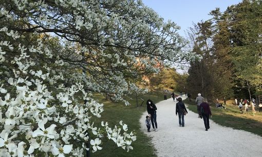 La Lombardia da oggi in zona gialla: ecco cosa cambia per spostamenti, bar, ristoranti e visite a parenti e amici La Lombardia da oggi in zona gialla: ecco cosa cambia per spostamenti, bar, ristoranti e visite a parenti e amici