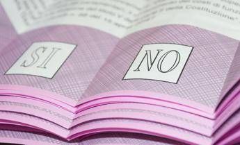 Referendum, raccolta firme online supera 500mila sostenitori. Conte: "Segnale dirompente" Referendum, raccolta firme online supera 500mila sostenitori. Conte: "Segnale dirompente"