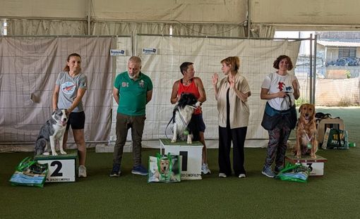 Mortara, Antonella e Shine trionfano nella Dog Dance Freestyle a Campi Bisenzio Mortara, Antonella e Shine trionfano nella Dog Dance Freestyle a Campi Bisenzio