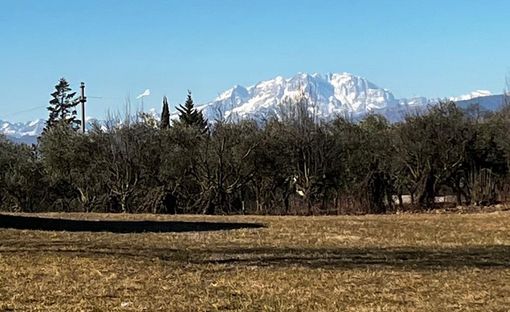 Prima il favonio, poi l'anticiclone: in arrivo 20 gradi e siccità record