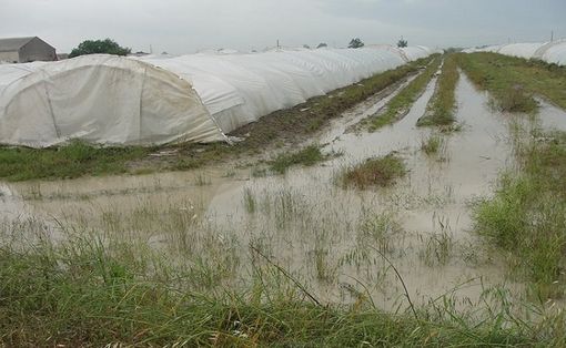 Clima: Coldiretti, 14 mld di danni all’agricoltura in ultimo decennio