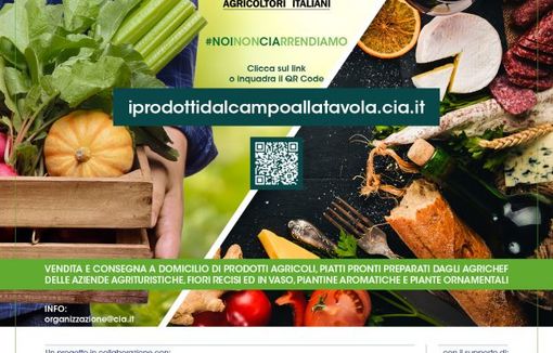 Covid: Cia, oltre 1000 aziende pronte per consegne a domicilio in tutta Italia Covid: Cia, oltre 1000 aziende pronte per consegne a domicilio in tutta Italia