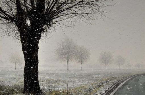 Meteo: nel weekend delle Palme dalla primavera all’inverno Meteo: nel weekend delle Palme dalla primavera all’inverno