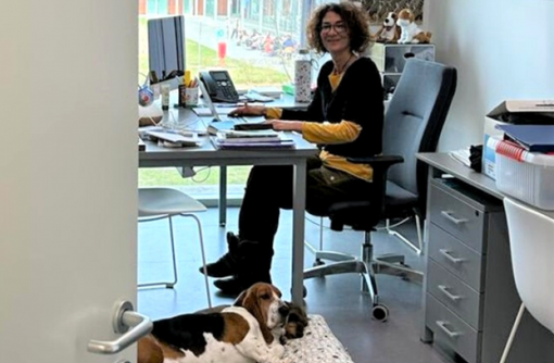 Col cane in ufficio: succede all’Università Statale di Lodi Col cane in ufficio: succede all’Università Statale di Lodi