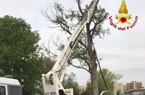 Incidente Opera: in terapia intensiva il 25enne rimasto ferito Incidente Opera: in terapia intensiva il 25enne rimasto ferito