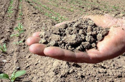 Lombardia, allarme siccità: mancano 2 miliardi di metri cubi d’acqua Lombardia, allarme siccità: mancano 2 miliardi di metri cubi d’acqua