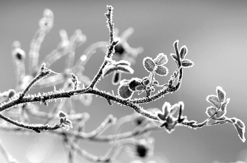 Arriva il grande freddo: Natale e Capodanno da battere i denti