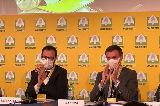 Consumi: Coldiretti, firmati decreti salva spesa, da pasta a latte