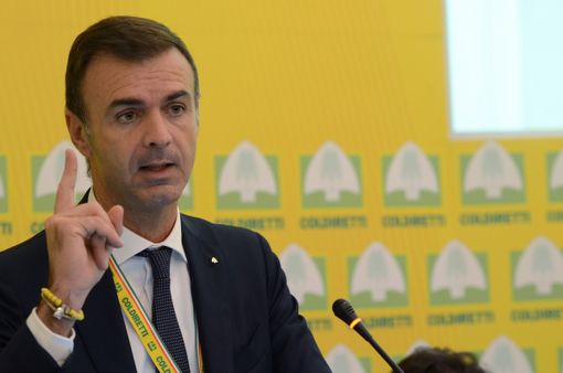 Fase 3: Coldiretti, sos vendemmia, test gratis a braccianti rumeni il presidente Prandini scrive al ministro Speranza