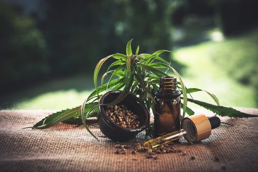 CBD: tutto ciò che devi sapere CBD: tutto ciò che devi sapere