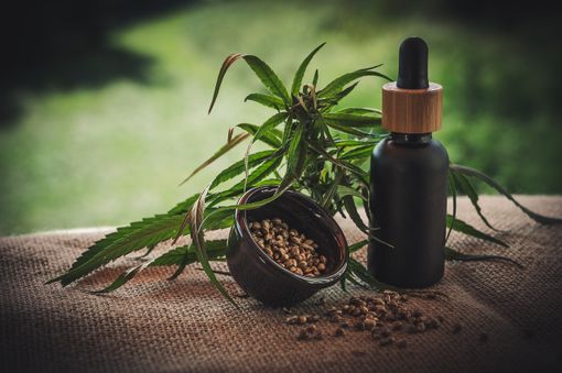 Cosa potrebbe significare la legalizzazione della cannabis per il mercato del lavoro in Italia