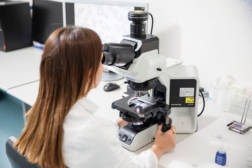 Come batte un cuore, cosa racconta il sangue: scienza e medicina diventano esperienza reale con l'IRCCS Maugeri Pavia