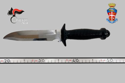 Pavia, servizi straordinari di controllo del territorio. Una denuncia per porto abusivo di arma Pavia, servizi straordinari di controllo del territorio. Una denuncia per porto abusivo di arma