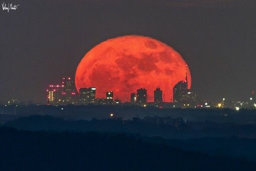 La foto della Luna rossa che attraversa lo skyline di Milano è nata sulle alture del lago Maggiore La foto della Luna rossa che attraversa lo skyline di Milano è nata sulle alture del lago Maggiore