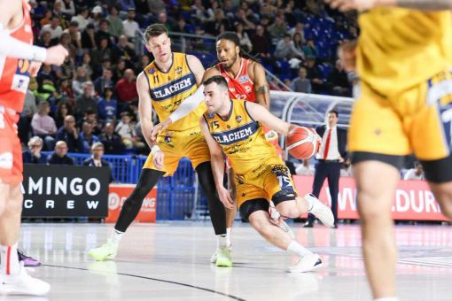 (foto Vigevano 1955) (foto Vigevano 1955)