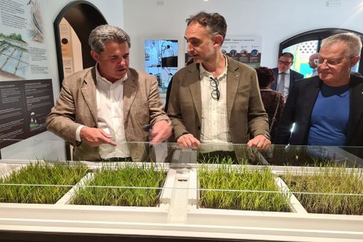 Agricoltura, assessore Beduschi a Castello d'Agogna: Ente Risi centro unico in Europa per ricerca e tutela del prodotto Agricoltura, assessore Beduschi a Castello d'Agogna: Ente Risi centro unico in Europa per ricerca e tutela del prodotto