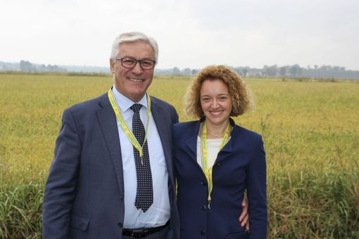 Riso, incognita maltempo sulla stagione. Crescono le superfici ma è SOS rese Riso, incognita maltempo sulla stagione. Crescono le superfici ma è SOS rese