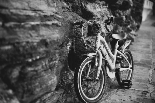 Ph.Maurizio Denti Pompiani©