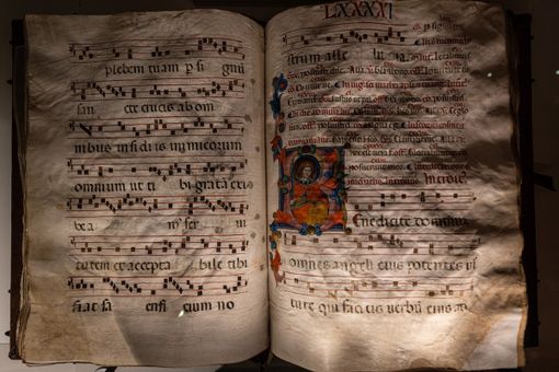 Ph. Maurizio Denti Pompiani©