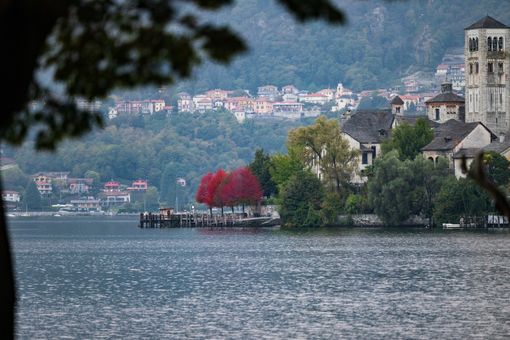 Foto: Denti Pompiani Maurizio© Foto: Denti Pompiani Maurizio©