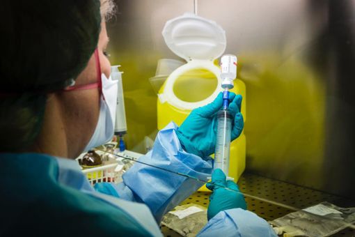 La ricerca contro i tumori rari guidata da IRCCS Maugeri Pavia, premiata a Palazzo Lombardia dalla fondazione regionale per la ricerca biomedica La ricerca contro i tumori rari guidata da IRCCS Maugeri Pavia, premiata a Palazzo Lombardia dalla fondazione regionale per la ricerca biomedica