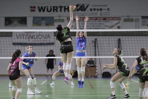 (foto Aldo Castoldi)