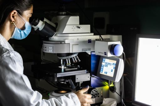 Fondazione Mondino cerca volontari per lo studio su “Parkinson e Microbioma”