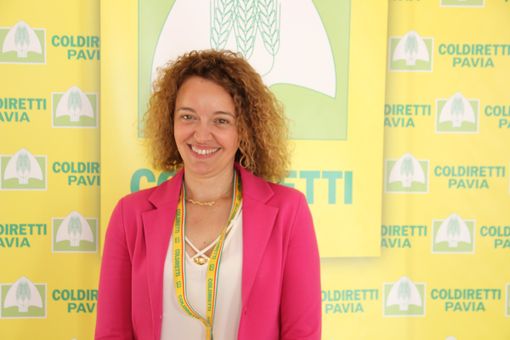Coldiretti: novità PAC, autorizzate le cover crops. In provincia di Pavia interessati oltre 25 mila ettari Coldiretti: novità PAC, autorizzate le cover crops. In provincia di Pavia interessati oltre 25 mila ettari