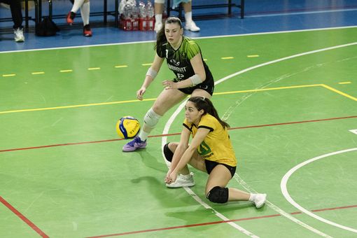 (foto Aldo Castoldi)