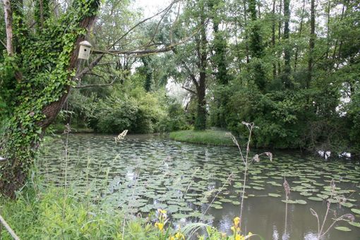Fondazione comunità novarese contribuisce alla creazione di nuova area naturale a Borgolavezzaro