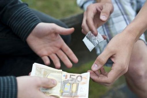 Spaccio nei boschi del Novarese: 9 misure cautelari, 4 in carcere di cui uno a Vigevano