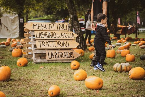 Al via la terza edizione del Villaggio delle Zucche PuraVida Farm di San Martino Siccomario Al via la terza edizione del Villaggio delle Zucche PuraVida Farm di San Martino Siccomario